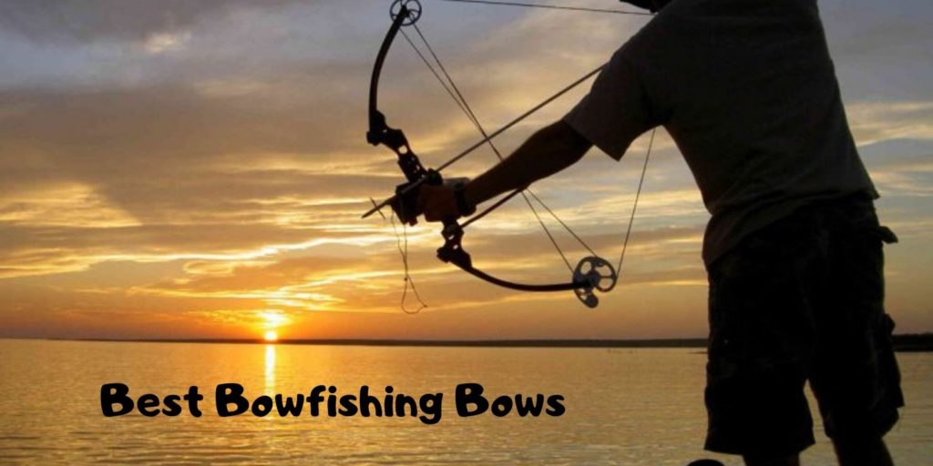 Best Bowfishing Bows of 2020