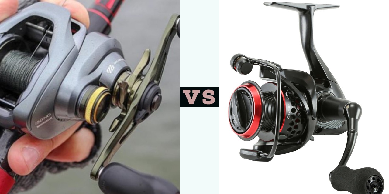 Baitcaster vs Spinning Reel: What’s Best to Choose in 2024