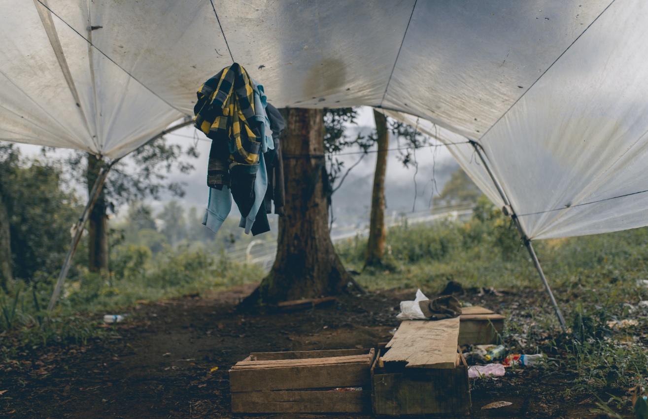 How to Make a Tarp Shelter Without Trees (Best Tips for 2020)