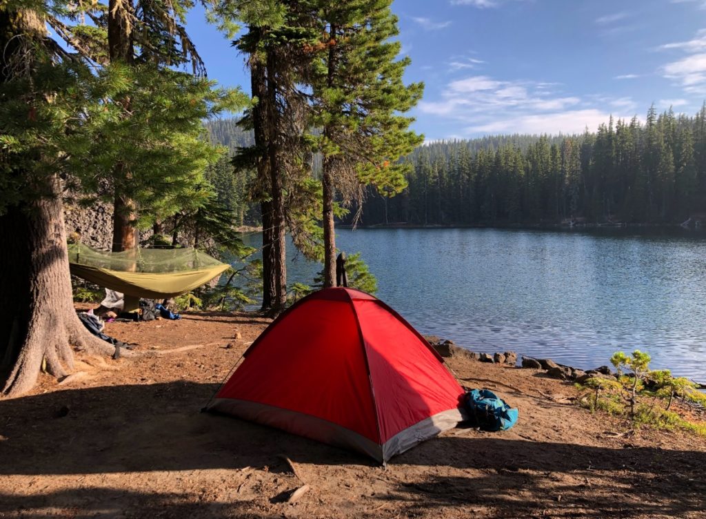 How To Clean A Tent With Mold (9 Best DIY Tips Explained)