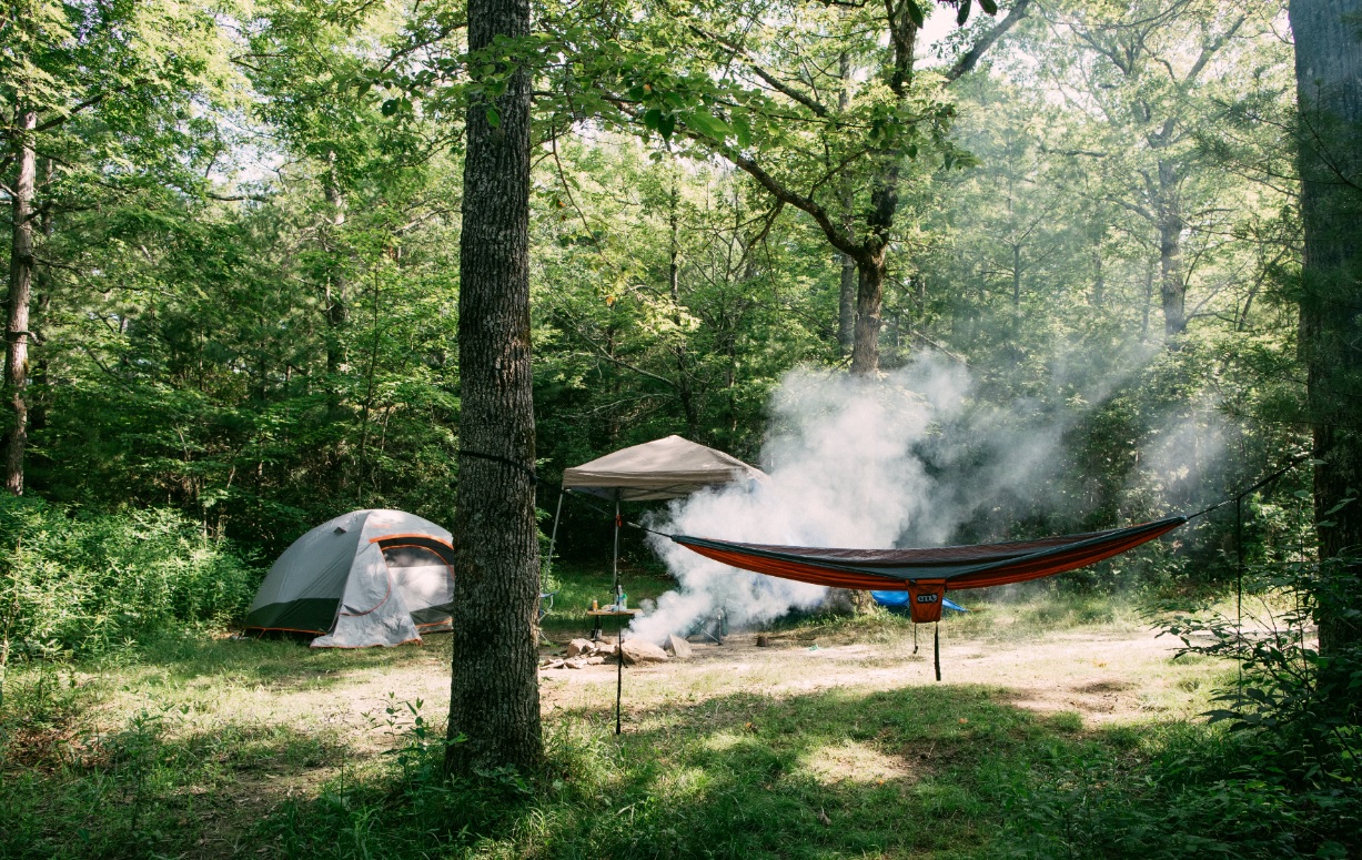 How To Clean A Tent With Mold (9 Best DIY Tips Explained)