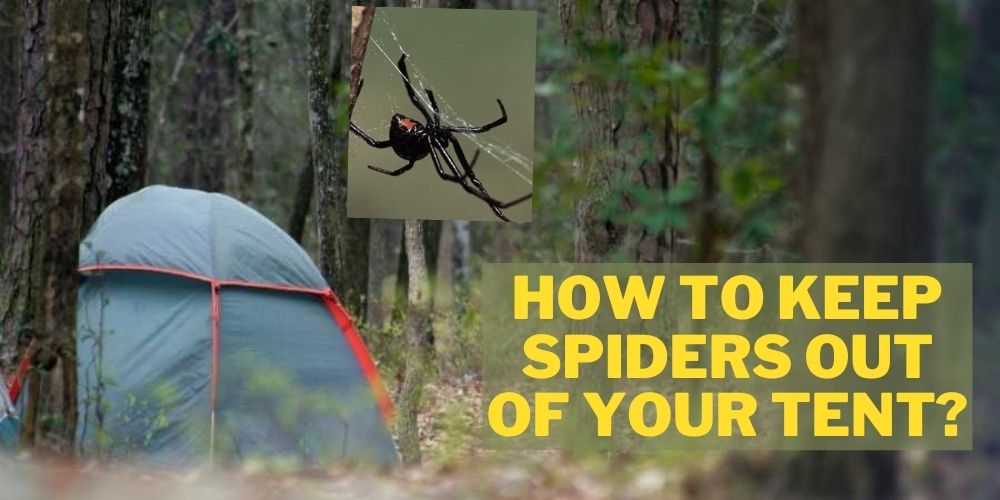 how to keep spiders out of your tent