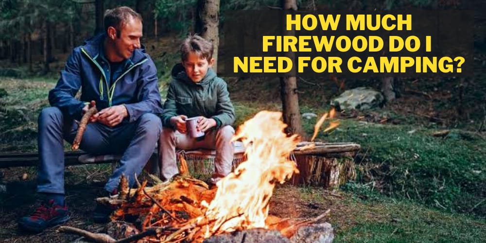 How Much Firewood Do I Need for Camping? Easy Guide for 2022