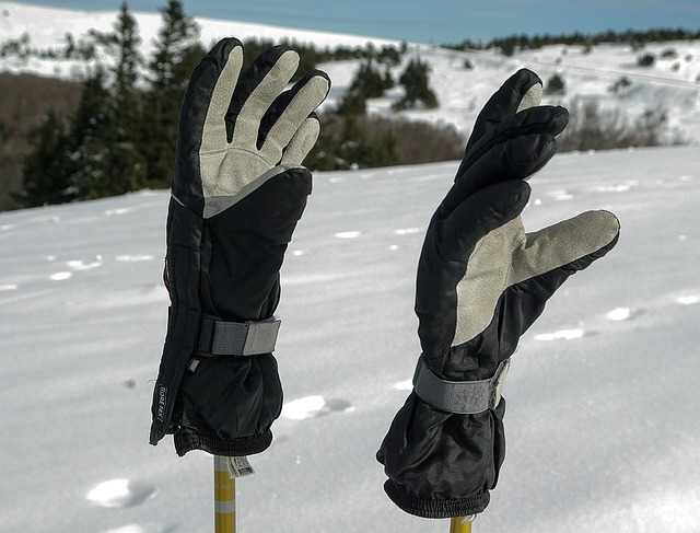 Can you Dry Ski Gloves?