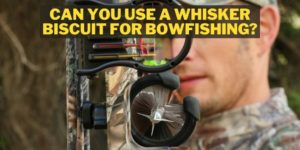 Can You Use Whisker Biscuit For Bowfishing