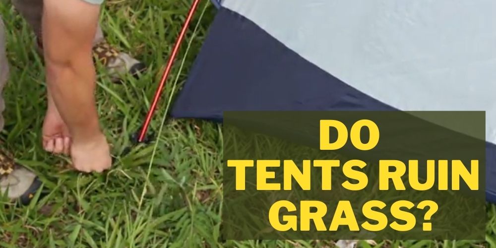 Do Tents Ruin Grass