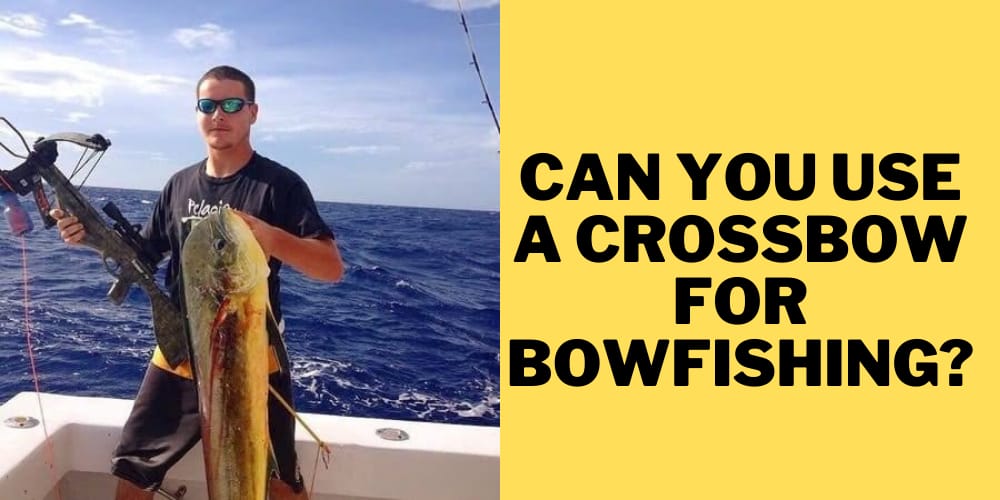 Can you use crossbow for bow fishing