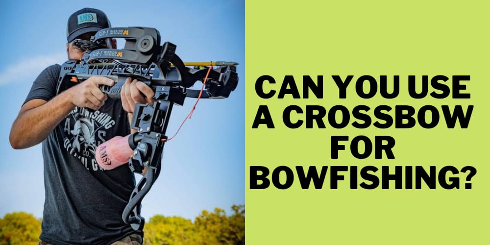 can you use crossbow for bowfishing