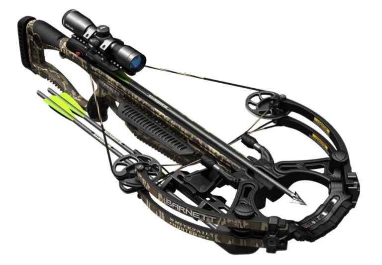 Can you Use Crossbow for Bowfishing? (The Most Comprehensive Guide)